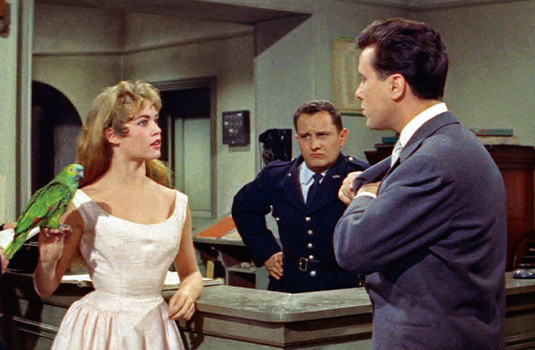 この神聖なお転婆娘